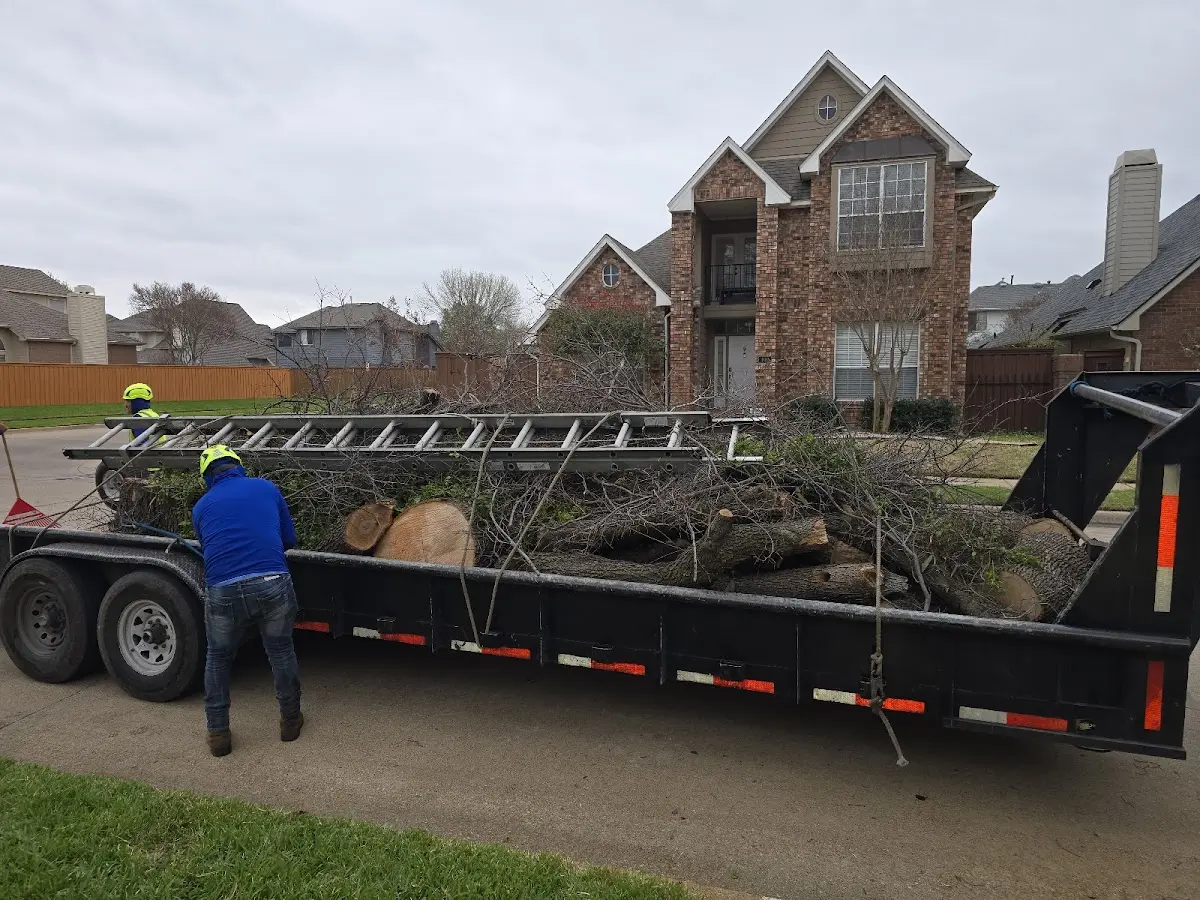 Expert Tree Fertilization with proper safety equipment in Eldridge